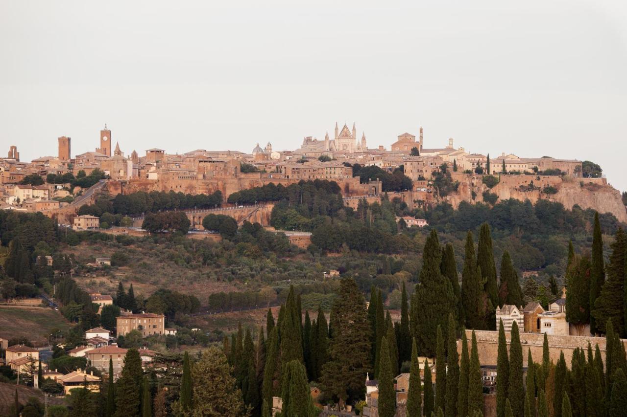 Domus Festina Lente Apartment Orvieto Luaran gambar